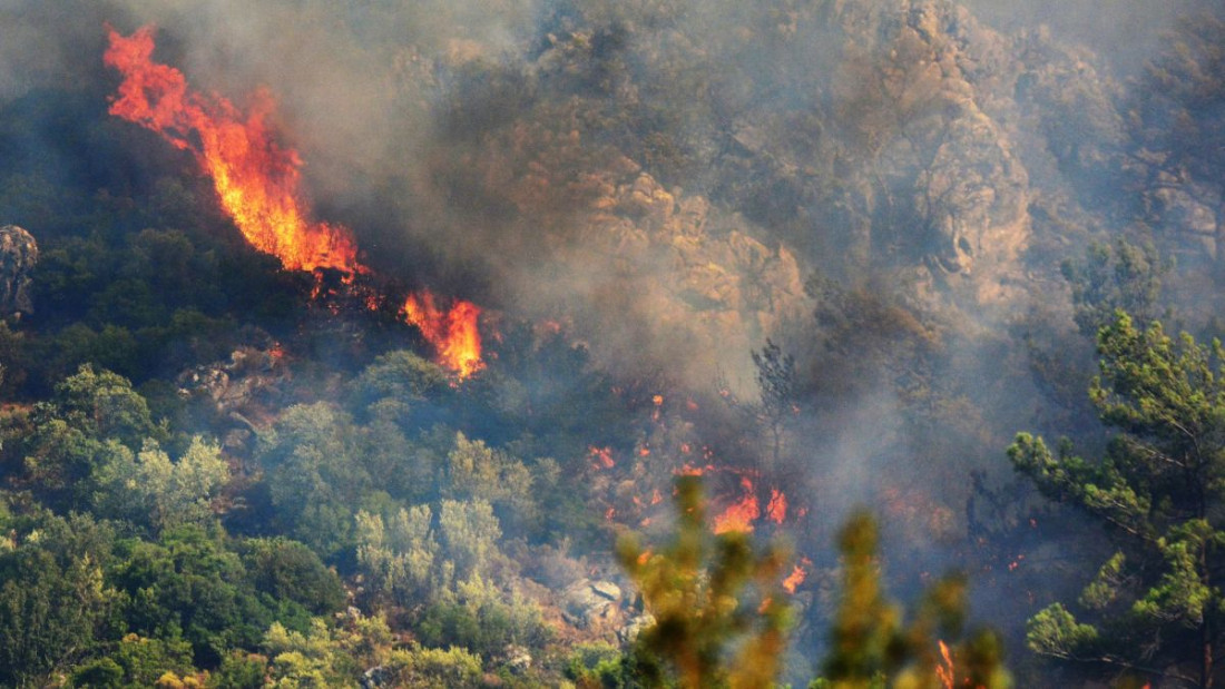 Azerbejdžan: U šumskom požaru izgorjelo više od 5.000 hektara površine